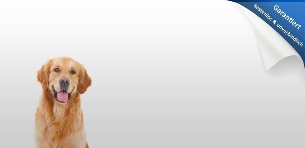 Hundehaftpflichtversicherung Vergleich